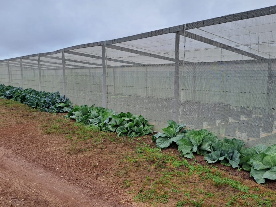 Commercial Property for Sale in St Francis Bay Rural Eastern Cape